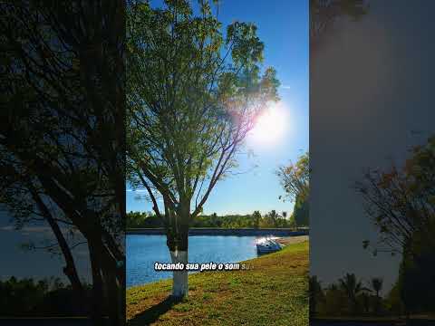 Quer sentir essa energia?#Hidrolandia #RioAraguaia #Goiania #Natureza #ParaisoParticular #shorts