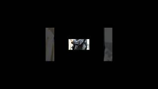 【#TheBeginning】【#ワンオク】【#shorts】【#永久機関】#完全感覚Dreamer プロフよりYouTube へ飛べます！#ワンオク #ワンオク好きと繋がりたい #ワンオクロック