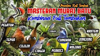 Download lagu MASTERAN MURAI BATU HARIAN - FULL ISIAN TEMBAKAN MEWAH‼️ mp3