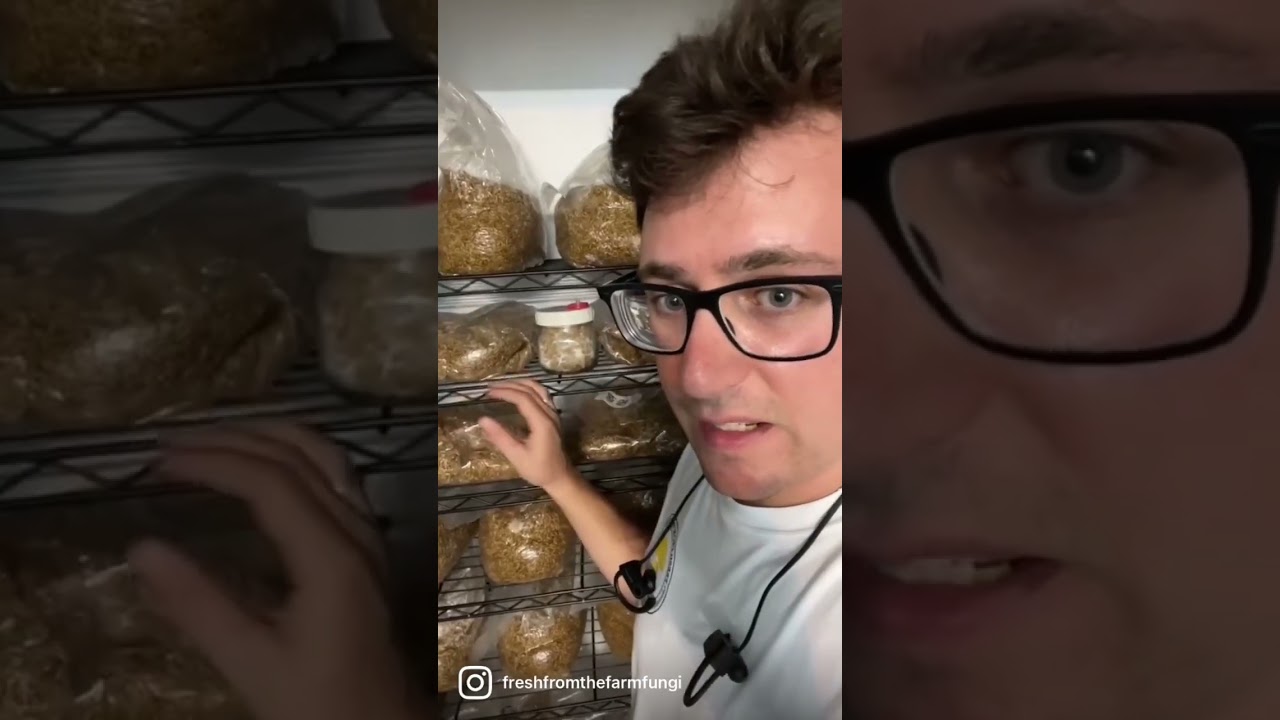 Power of Mushrooms 🔋🍄💪#mushroomfarm #freshfromthefarmfungi #mycology #spores #mushrooms