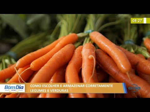 Como escolher e armazenar corretamente legumes e verduras 10 06 2021