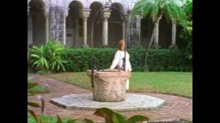 Brenda K. Starr.Herida.