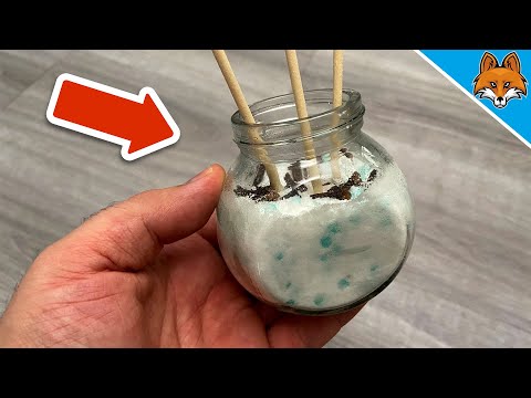Das GEHEIMNIS wie deine Wohnung IMMER frisch riecht 💥 (überraschend EINFACH) 🤯