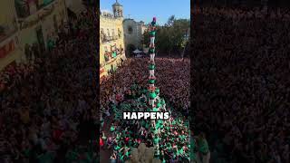 Wait Until You See This 😨