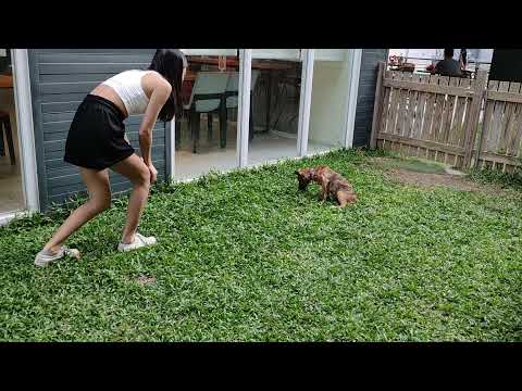 Olya follows the commands well.