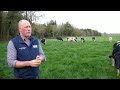 Lowering Somatic Cell Count On Dairy Farms