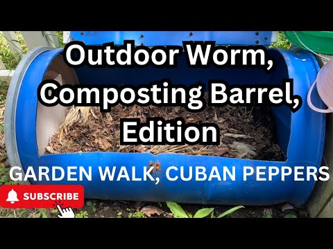 "Exploring the Secrets of my Outdoor Worm Barrel: A Garden Update"