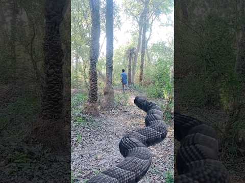 Anaconda Is Back | 🐍🪱 #vfx #vfxindia #snackvideo #shorts