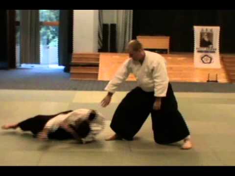 Aikido Klub Ryonen Smederevo-Azemovic Aleksandar