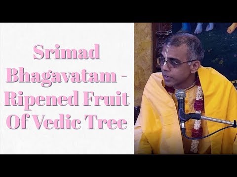 Sankirtan Prabhu Lecture on Srimad Bhagavatam - Ripened Fruit Of Vedic Tree at ISKCON Chowpatty