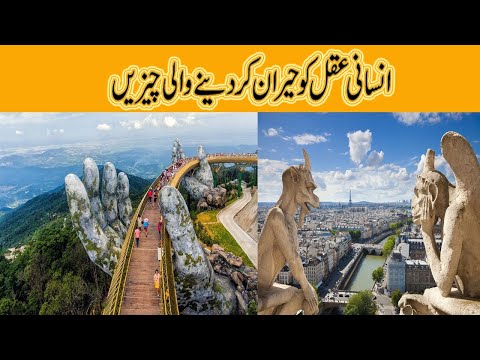 It's really amazing | Mind Refreshing | Awesome Video | #Tec&Knowledge