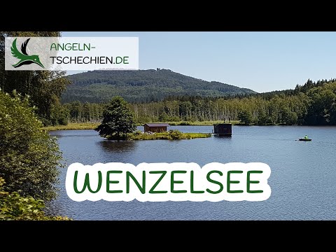 Angeln in Tschechien - Wenzelsee
