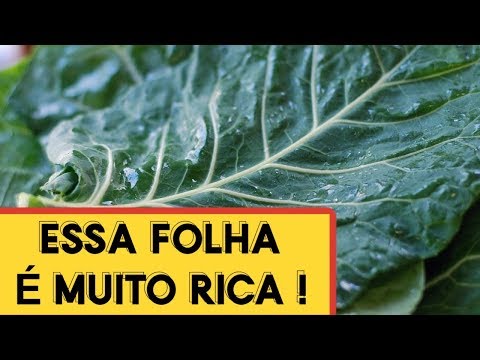 Benefícios da Couve + SUCO DETOX