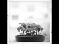 no talking - rivulets 