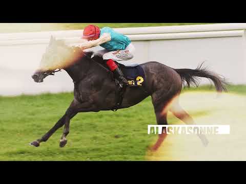 Carl Jaspers Preis 2022 - Trailer