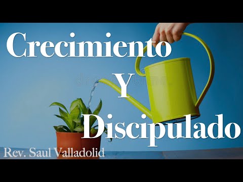 TVC Memphis miércoles 11/30/2022