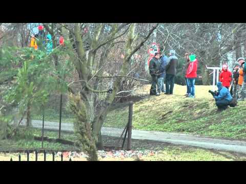 6 Rajd Czechowicki | Kucharczyk / Tkacz | Renault Clio Sport [MotoRecords.pl]