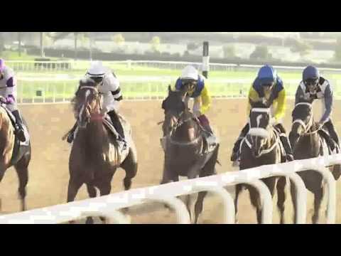 Lani  UAE Derby 2016