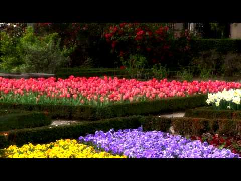 Vídeo FFG Catering 1