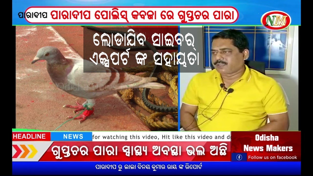 ପାରାଦୀପ ରେ ଉଦ୍ଧାର କରା ଯାଇଥିବା ସନ୍ଦିଗ୍ଧ ପାରା କୁ ନେଇ ପୋଲିସ ର ଯୋର ଦାର ଖୋଳତାଡ଼, ଚାଲିଛି ସବୁ ଦିଗ ପ୍ରତି ତର୍ଜମା