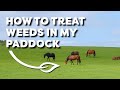 How to Treat Weeds in My Paddock