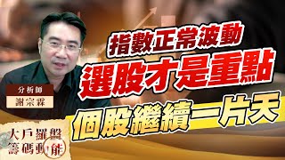 指數正常波動 選股才是重點 個股繼續一片天 (圖)