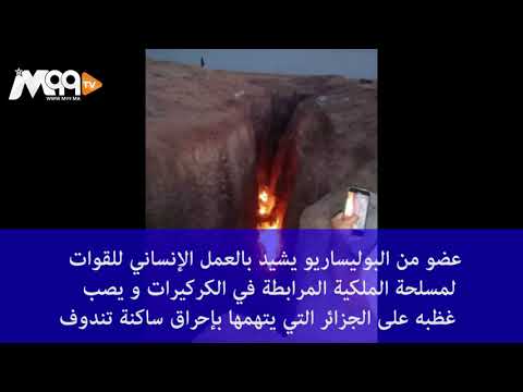 ﻋﻀﻮ ﻣﻦ "ﺍﻟﺒﻮﻟﻴﺴﺎﺭﻳﻮ" ﻳﺸﻴﺪ بالتعامل ﺍﻹﻧﺴﺎﻧﻲ للجيش المغربي ويدين إحراق الجيش الجزائري لصحراويين عزل