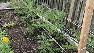 Top 10 Garden Twine and Twist Ties You Can Buy  May 2023