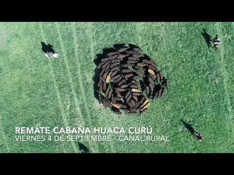 Huaca Curu Remate 2020