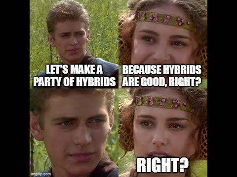 Wizardry 8 - a hybrid party