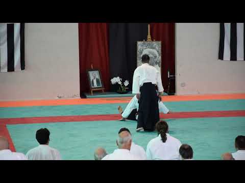 Stage AIKIDO à Lesneven 2019 IRIE SHIHAN(AIKIKAI HOMBU)