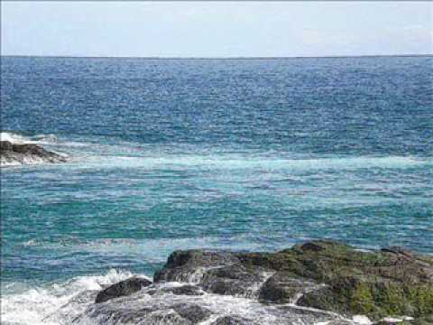 mfsjunior1’s Video 106665965995 JjTVhWa53_c