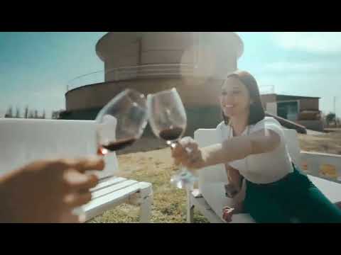 Wine and Ride Luján de Cuyo 🚲🍷 Base en Bodega Vinorum | Ruta del vino en Mendoza