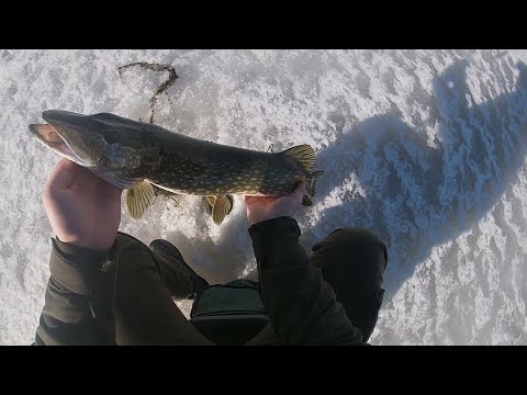 Kalastus - pilkillä merellä 17.3.2022