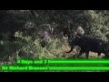 Maverick Business Adventures Epic African Safari Adventure