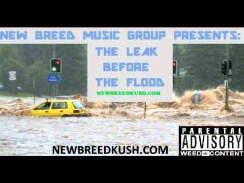 Jay Kwev Feat. New Breed Dexx; No Hooks & Adlibs, Just Straight Flow [Track 6]