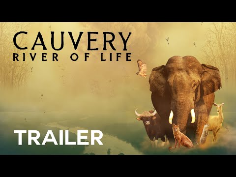 CAUVERY - RIVER OF LIFE | Official Trailer