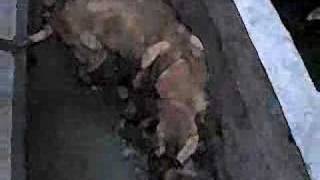 There aint shit on tv tonight.