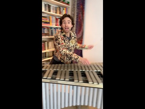 Twinkle Twinkle Little Star, Baa Baa Black Sheep & The ABCs AT THE SAME TIME on 8 Mallet Instruments