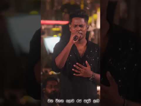 Suckdevi vanuma | kuweni musical #sakdevi #trending #charithaattalage #wayo #shorts