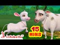 தோட்டத்தில் மேயுது வெள்ளை பசு And Much More Tami