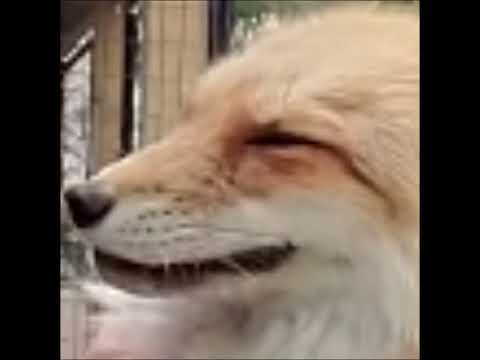 ázu/Mr. Deathline - Utopia (Reupload)