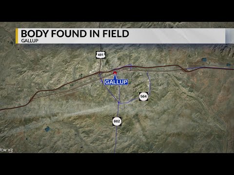 Gallup police investigating body found in field