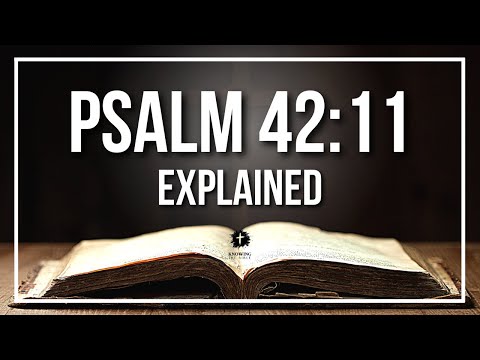 PSALM 42:11 Explained - What Does The Bible Verse PSALM 42:11 [KJV] REALLY Mean?