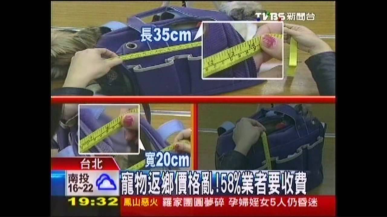 寵物返鄉價格亂! 58%業者要收費