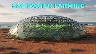 Farming with Ocean Water: The Seawater Greenhouse Revolution 🌊