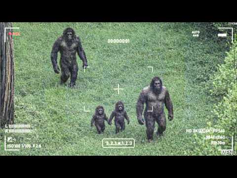 Scientist Found Bigfoot's Village Hidden Deep in the Ozark Mountains