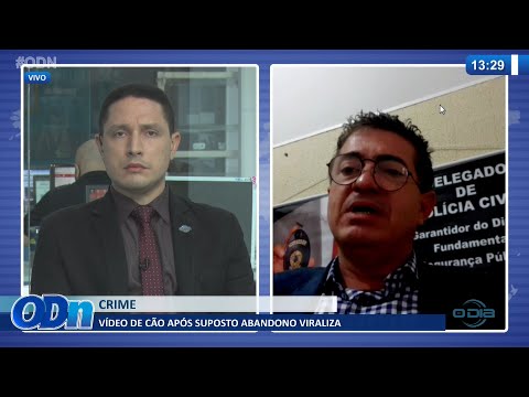 Vídeo de cão após suposto abandono viraliza 17 01 2022