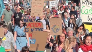 How Mid Devon is tackling the climate crisis a year after emergency ...