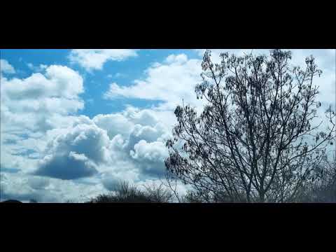 Aljim Šuplja - Na Akšam sinojka